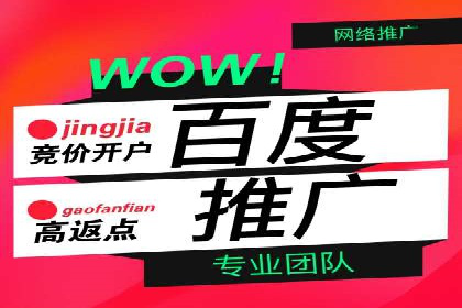 行业领先企业的sem竞价托管经验分享与案例解析